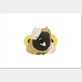 Fawn Pied American Bully with Sunflowers Posters and Art